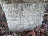 image of grave number 364511